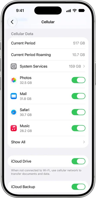 iPhone-inställningar med mobil konsumtion av applikation och åtkomstbrytare.
